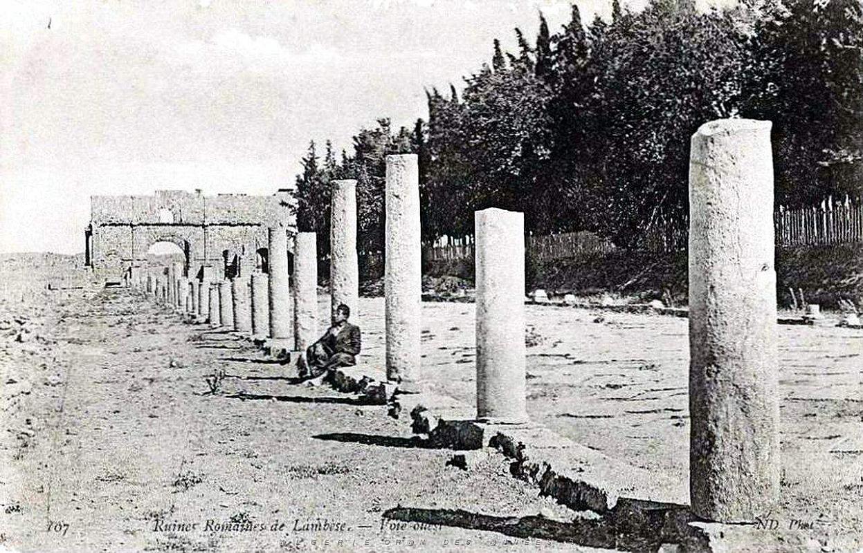 ALGERIE-RUINES ROMAINES DE LAMBESE (13).jpg